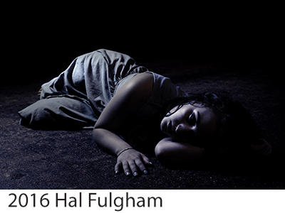 2016 Hal Fulgham Winners
