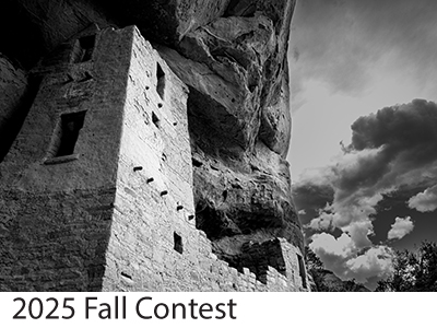 2025 Fall Contest Winners